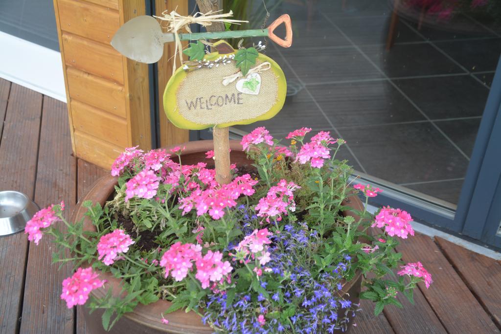 Les Condamines Bed & Breakfast Antoingt Ngoại thất bức ảnh